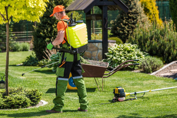 Best Fumigation Services  in Brown City, MI